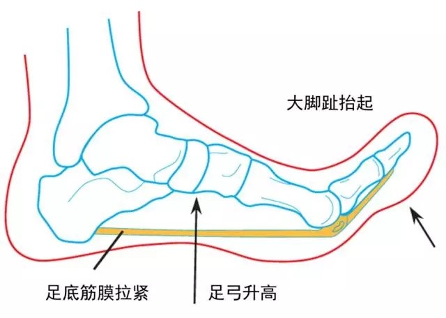 圖片關(guān)鍵詞