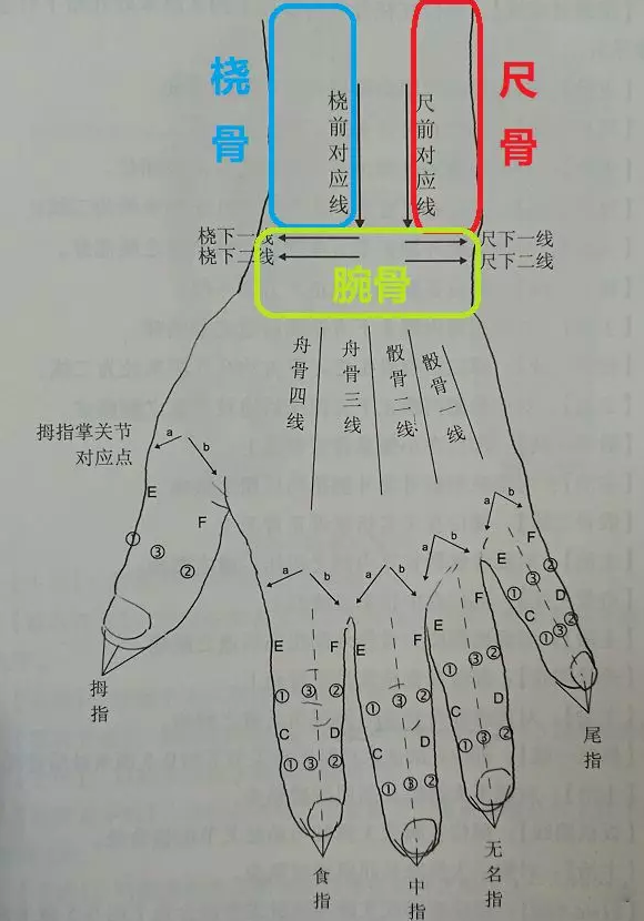 圖片關(guān)鍵詞