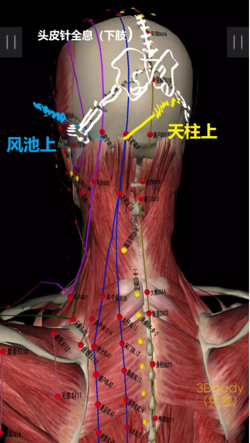 圖片關(guān)鍵詞