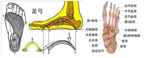 圖片關(guān)鍵詞